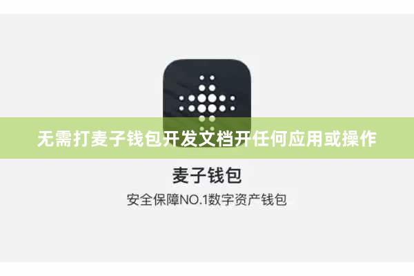 无需打麦子钱包开发文档开任何应用或操作