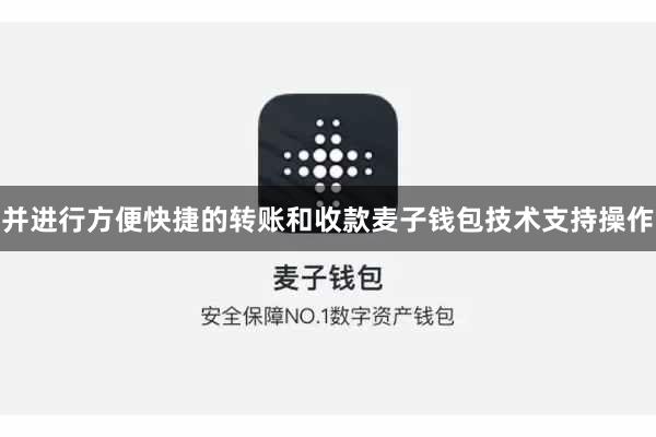 并进行方便快捷的转账和收款麦子钱包技术支持操作