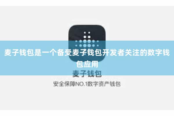 麦子钱包是一个备受麦子钱包开发者关注的数字钱包应用