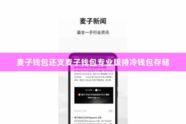 麦子钱包还支麦子钱包专业版持冷钱包存储
