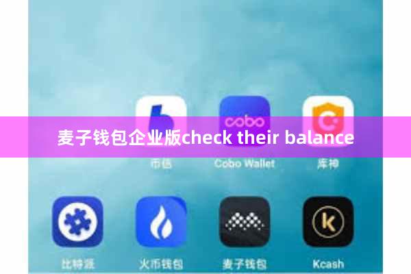 麦子钱包企业版check their balance