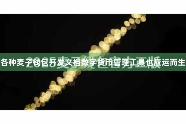 各种麦子钱包开发文档数字货币管理工具也应运而生