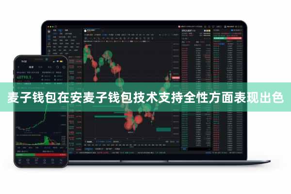 麦子钱包在安麦子钱包技术支持全性方面表现出色