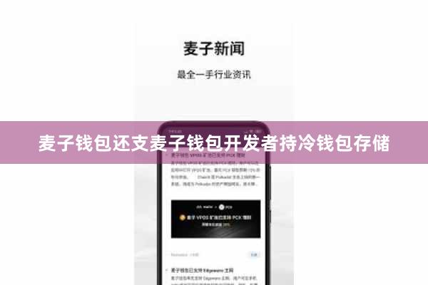 麦子钱包还支麦子钱包开发者持冷钱包存储