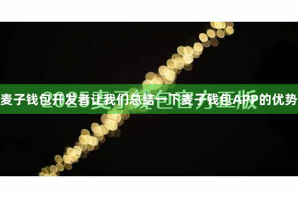 麦子钱包开发者让我们总结一下麦子钱包APP的优势