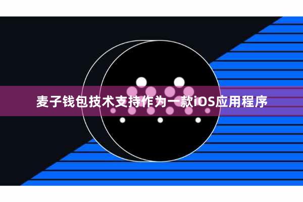 麦子钱包技术支持作为一款iOS应用程序