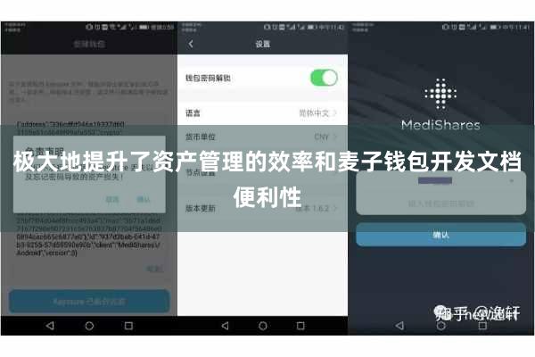 极大地提升了资产管理的效率和麦子钱包开发文档便利性
