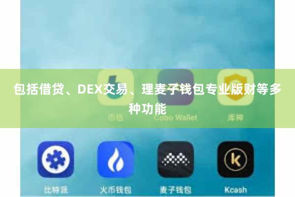 包括借贷、DEX交易、理麦子钱包专业版财等多种功能