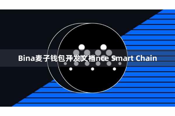 Bina麦子钱包开发文档nce Smart Chain