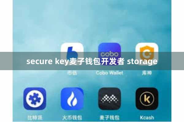 secure key麦子钱包开发者 storage
