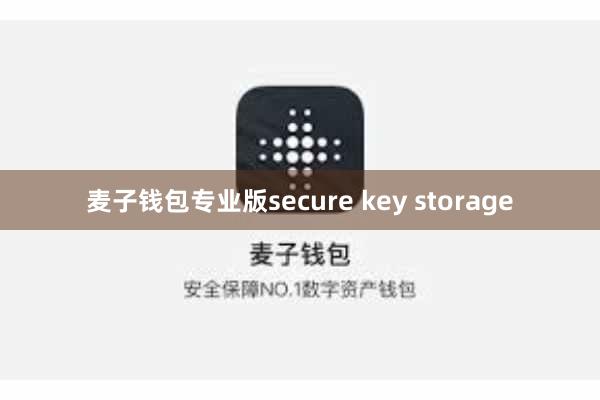 麦子钱包专业版secure key storage