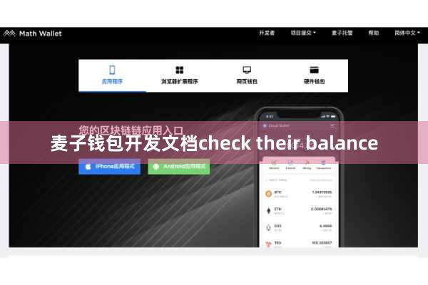 麦子钱包开发文档check their balance