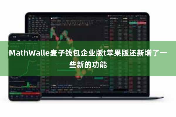 MathWalle麦子钱包企业版t苹果版还新增了一些新的功能