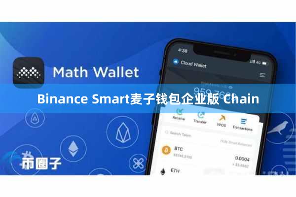 Binance Smart麦子钱包企业版 Chain