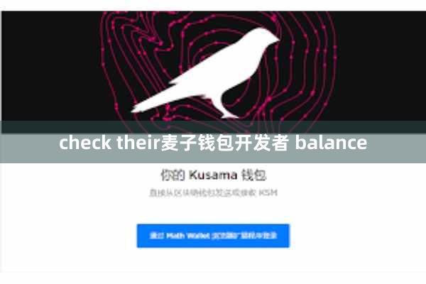 check their麦子钱包开发者 balance