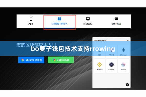 bo麦子钱包技术支持rrowing