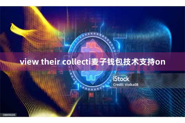 view their collecti麦子钱包技术支持on