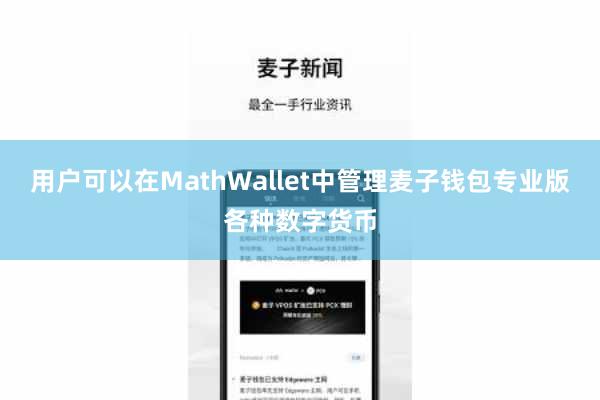用户可以在MathWallet中管理麦子钱包专业版各种数字货币
