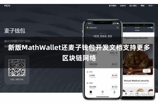 新版MathWallet还麦子钱包开发文档支持更多区块链网络
