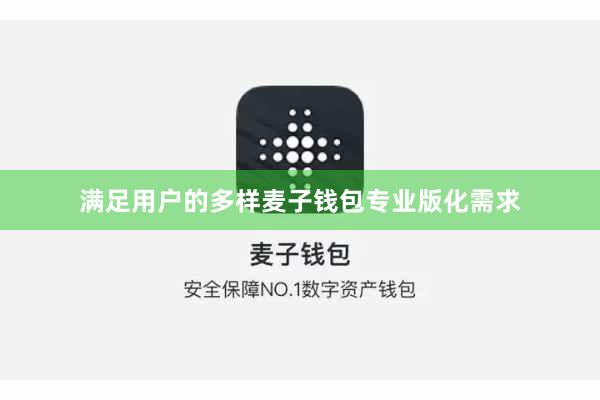 满足用户的多样麦子钱包专业版化需求