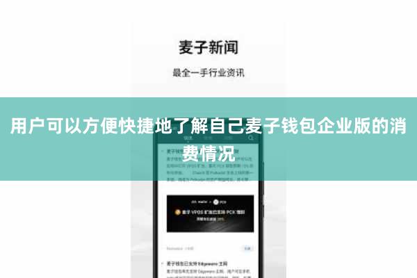 用户可以方便快捷地了解自己麦子钱包企业版的消费情况