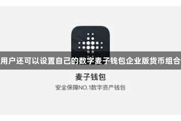 用户还可以设置自己的数字麦子钱包企业版货币组合