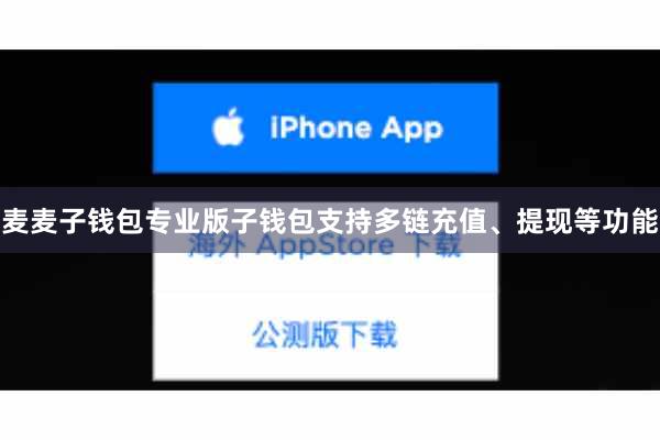 麦麦子钱包专业版子钱包支持多链充值、提现等功能