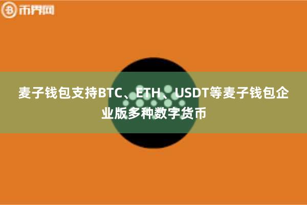 麦子钱包支持BTC、ETH、USDT等麦子钱包企业版多种数字货币
