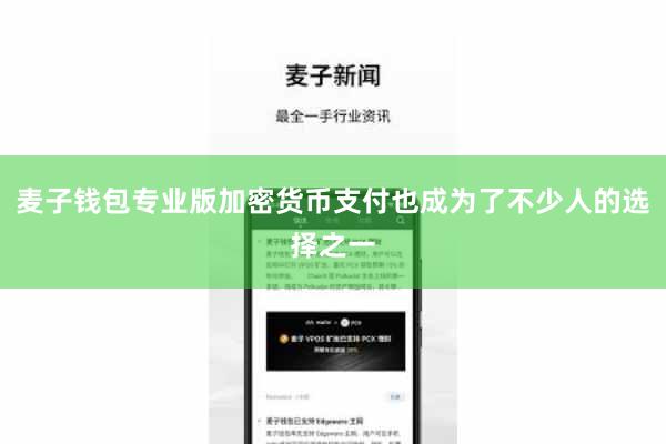 麦子钱包专业版加密货币支付也成为了不少人的选择之一