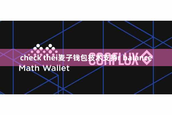 check thei麦子钱包技术支持r balance